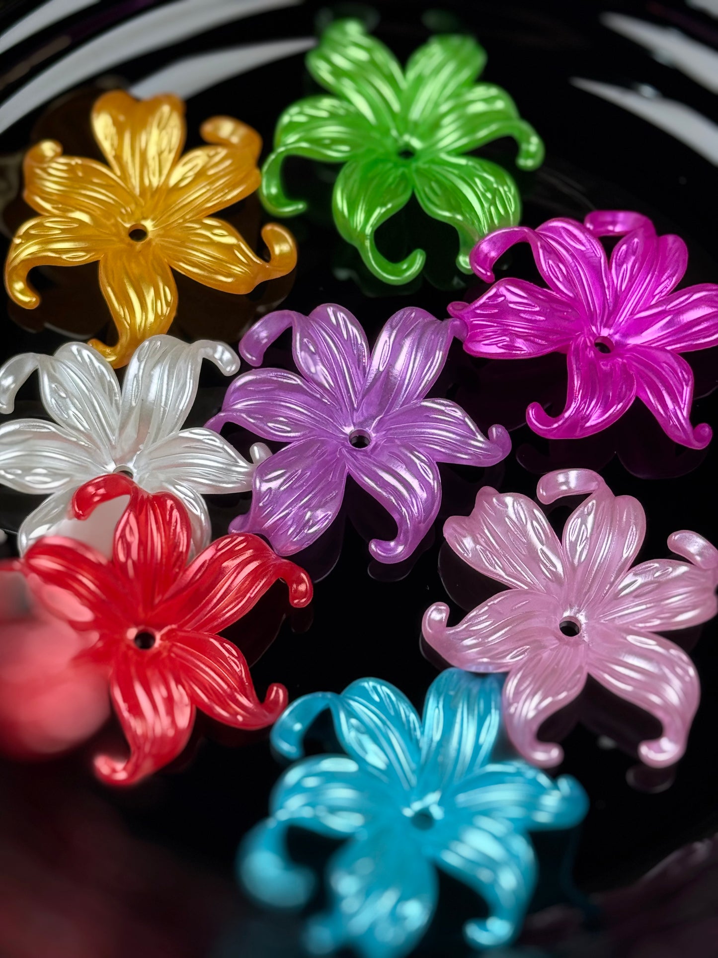 Set of Multicolor Flowers